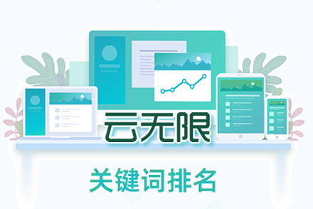 网站排名seo